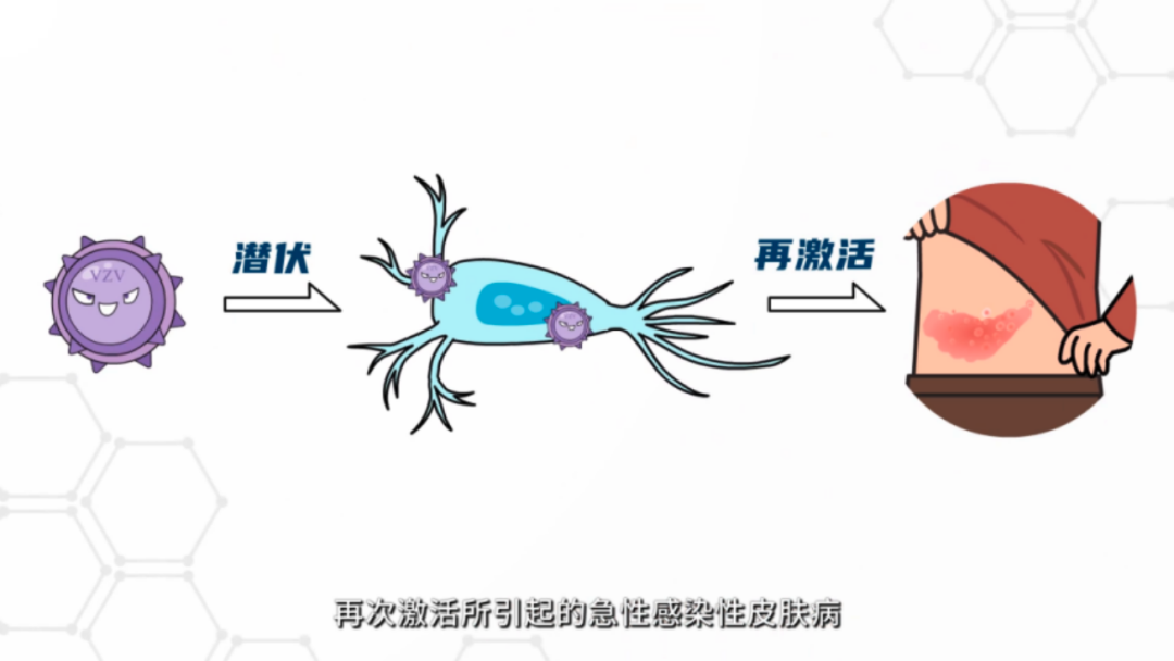 长春疫苗_长春疫苗假药事件_长春疫苗叫啥名